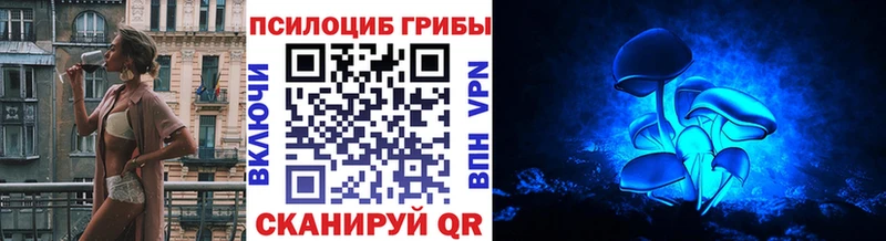 omg маркетплейс  дарк нет клад  Большой Камень  Псилоцибиновые грибы мицелий  наркота 