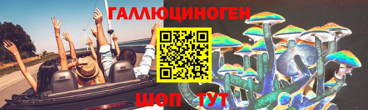 Псилоцибиновые грибы Psilocybine cubensis  закладка  Большой Камень  Псилоцибиновые грибы ЛСД  Вход с VPN 
